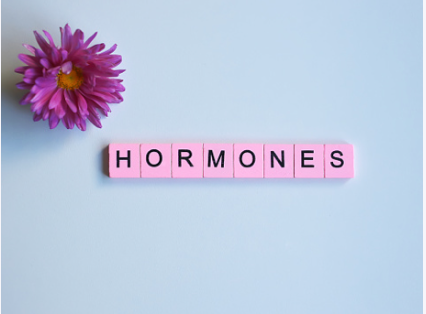 Hormones v Fitness